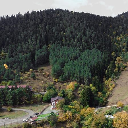 Holiday Borjomi Qvibisi Extérieur photo