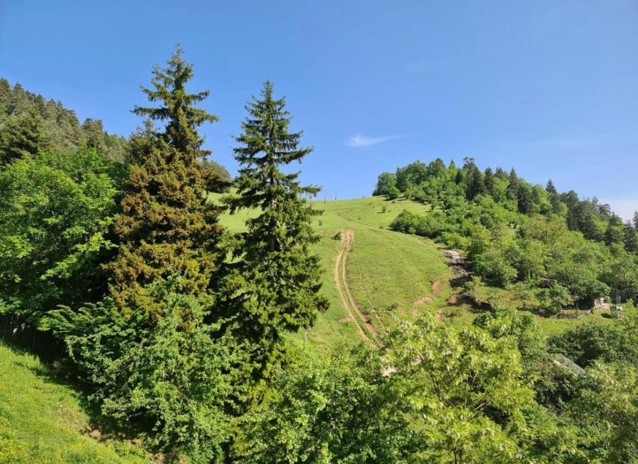 Holiday Borjomi Qvibisi Extérieur photo