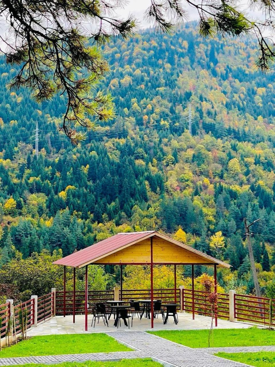Holiday Borjomi Qvibisi Extérieur photo
