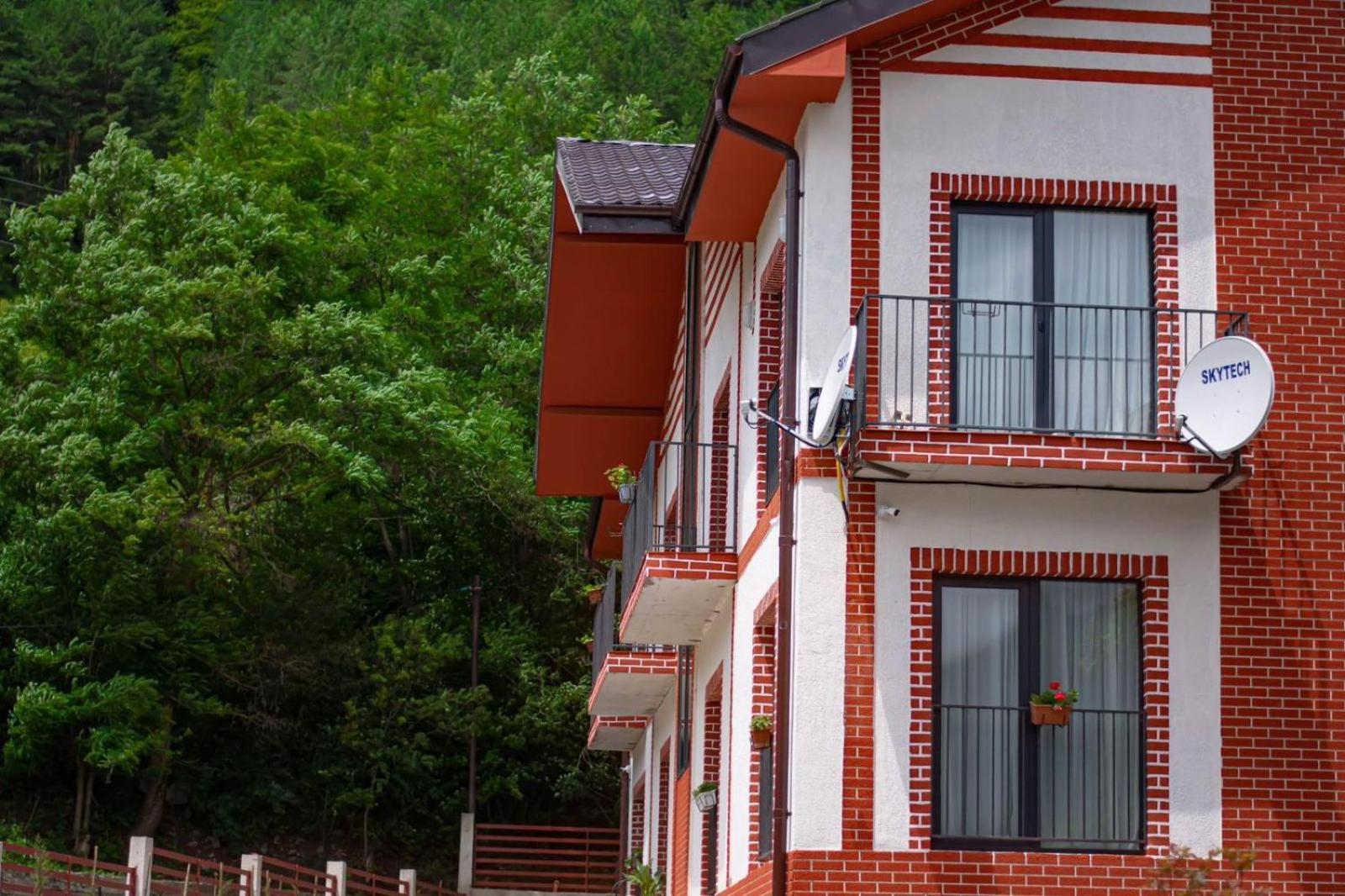 Holiday Borjomi Qvibisi Extérieur photo