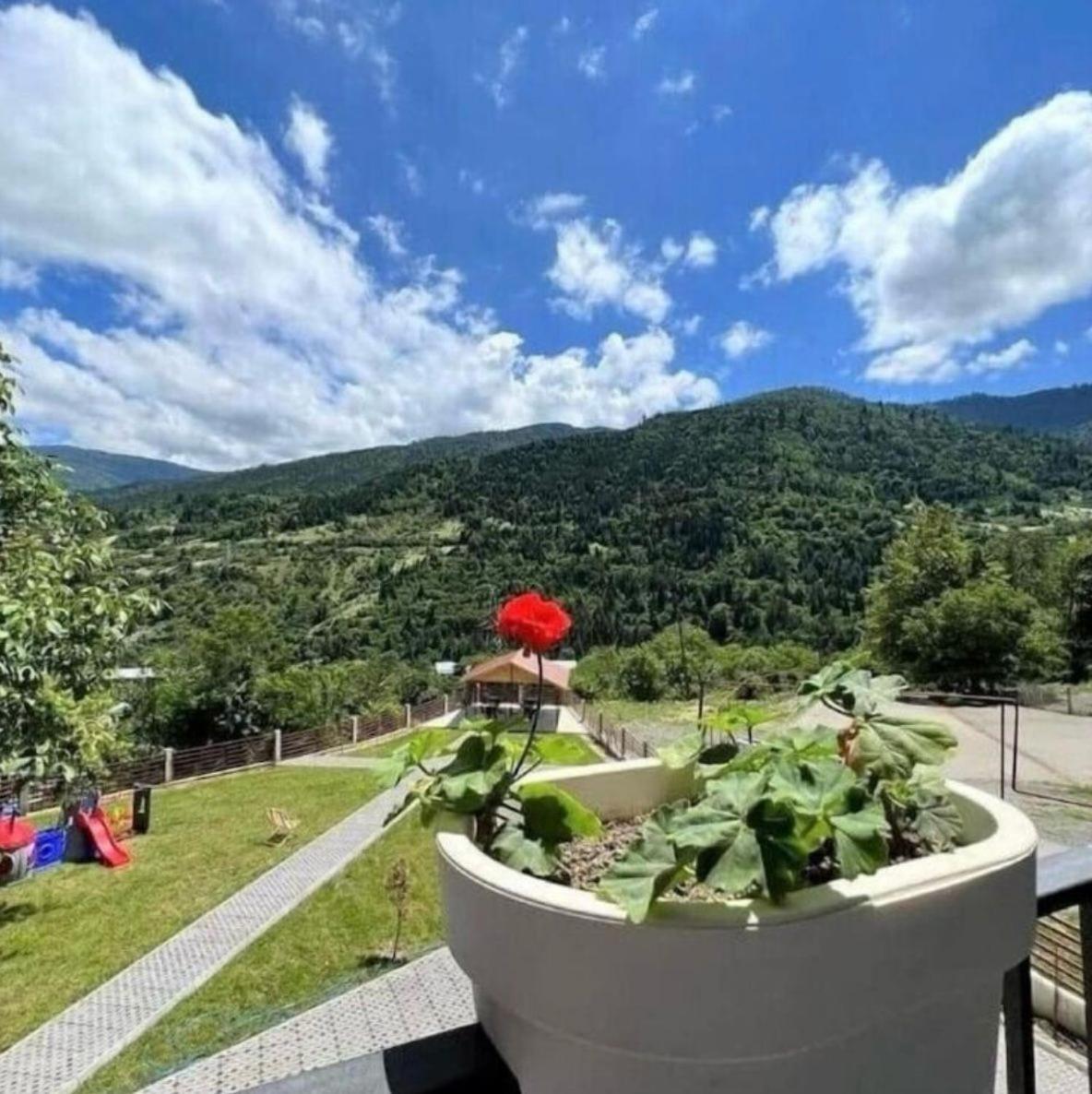 Holiday Borjomi Qvibisi Extérieur photo