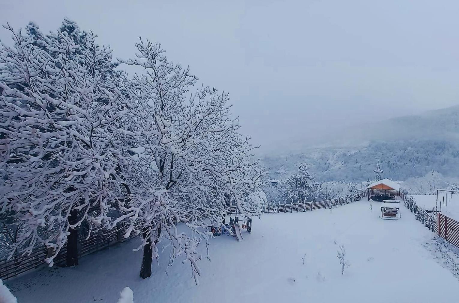 Holiday Borjomi Qvibisi Extérieur photo
