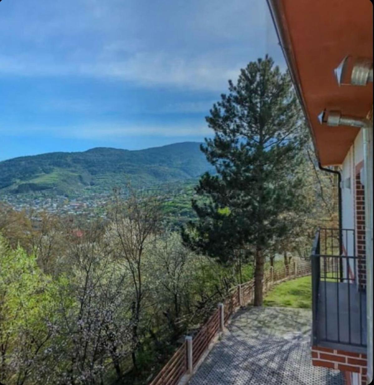 Holiday Borjomi Qvibisi Extérieur photo