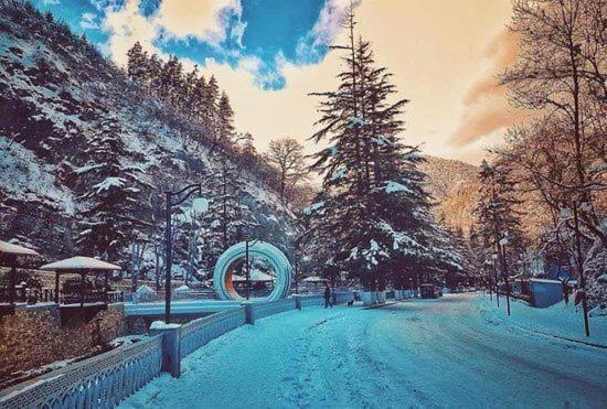 Holiday Borjomi Qvibisi Extérieur photo