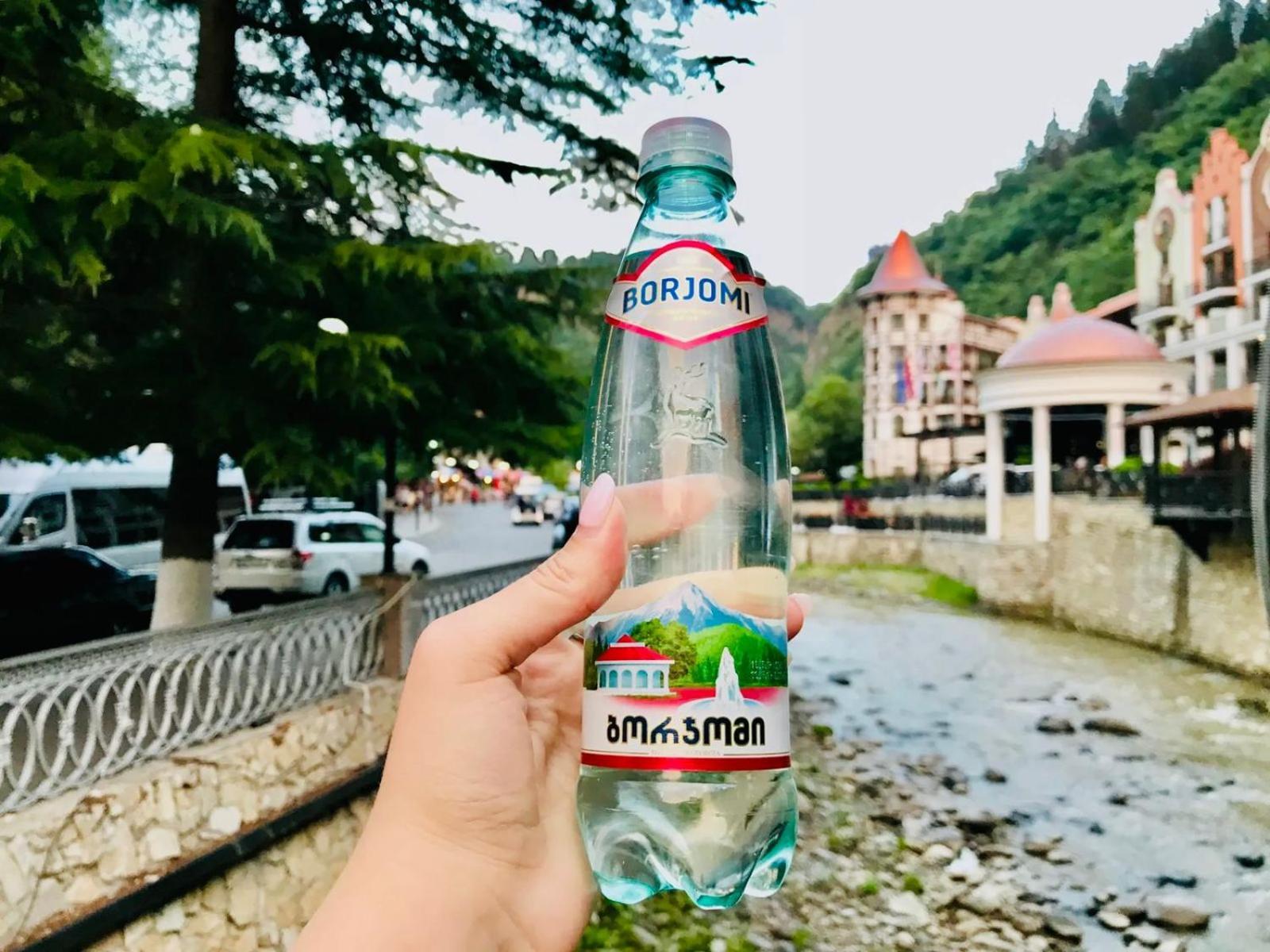 Holiday Borjomi Qvibisi Extérieur photo